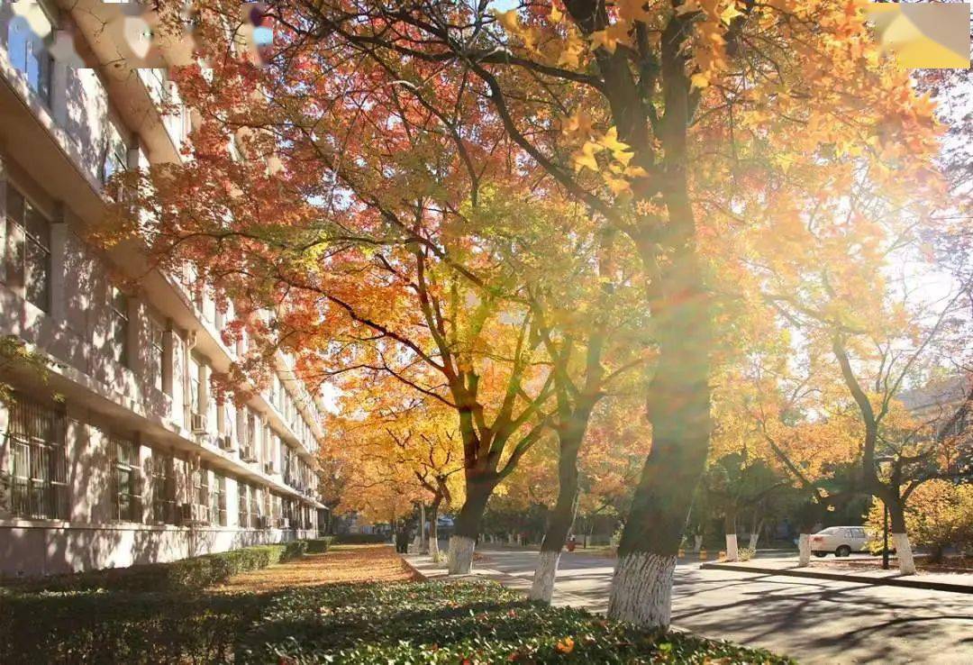 药学专业顶尖大学英语考研_药学英语考研国家线_药学专业英语好有什么优势吗