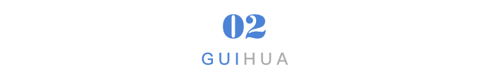 经济危机下如何生存_危机经济方式生活中的问题_经济危机的生活方式